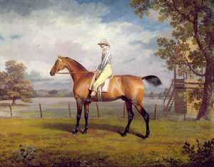 Die Verkleidung des Herzogs von Hamilton mit Jockey