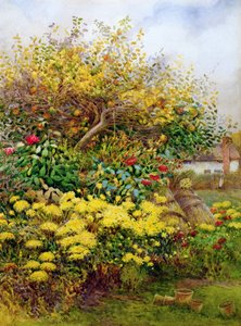 Das Wirrwarr des Herbstes, Temple Grafton, Warwicks