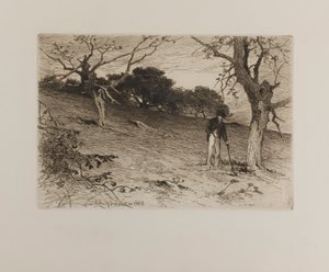 Ein alter Obstgarten in Neuengland