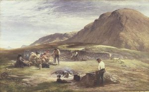 Schafschur