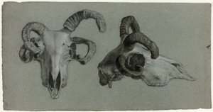 Widder-Schädel von George Hayter