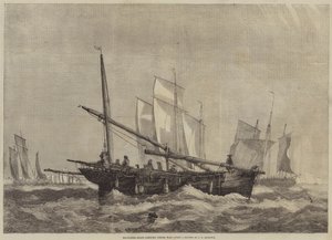 Makrelenboote machen sich auf den Weg