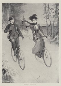 Eine Fahrt am Valentinstag von George Henry Edwards