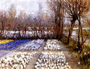 Ein Krokusfeld im Frühling, ca. 1889