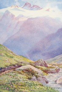 Der Herbst-Krokus auf den Feldern in der Nähe des Dorfes Trient, mit der Aiguille du Tour im Hintergrund, September (Farblithographie)