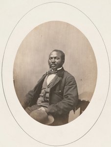 Porträt eines Mannes, Harvard University, 1861