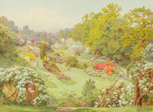 Frühlingsblüten