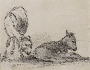 Eselfohlen von George Morland