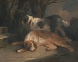 Setter