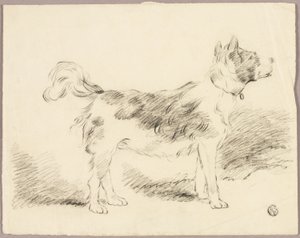 Hütehund