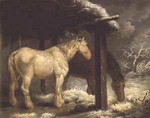 Shire-Pferde bei einem strohgedeckten Unterstand in einer stürmischen Winterlandschaft