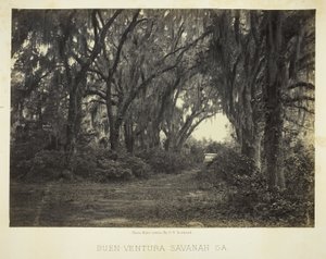 Buen-Ventura Savannah, Ga. von George N. Barnard