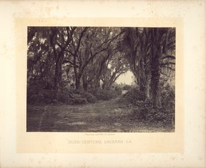 Buen-Ventura Savannah, Georgia von George N. Barnard