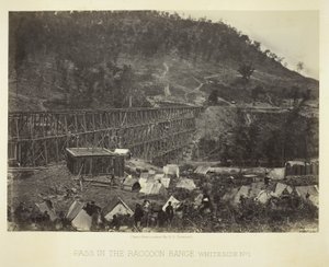 Pass im Waschbärgebirge, Whiteside Nr. 1 von George N. Barnard