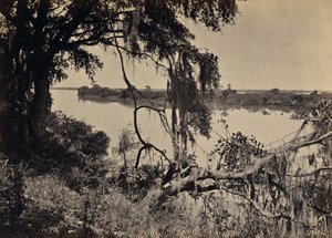 [Savannah River, in der Nähe von Savannah, Georgia] von George N. Barnard