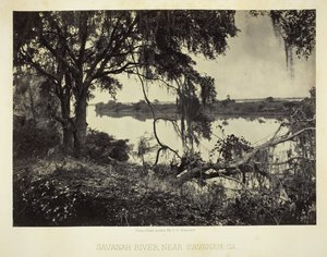 Savannah River, nahe Savannah, GA, 1866 von George N. Barnard
