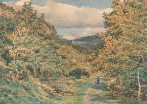 Eine Straße in der Nähe von Bettws-y-Coed