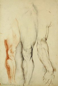 Boswoods Oberschenkel von George Richmond