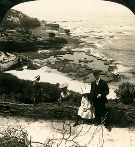 Ebbe am Back Beach, Sorrento, Victoria, Australien