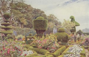 Levens, Rosen und Nelken von George Samuel Elgood