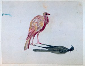 Vogel, 1820-1876 von George Sand