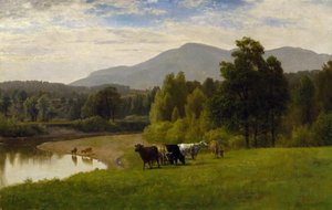 Weideland, 1867