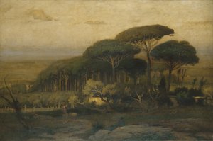 Kiefernwald der Villa Barberini