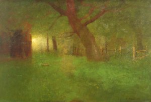 Sonnenuntergang im alten Obstgarten