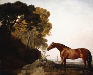 Ein Araber in einer Küstenlandschaft, 1779 von George Stubbs