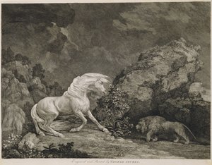 Ein Pferd erschreckt durch einen Löwen, graviert vom Künstler