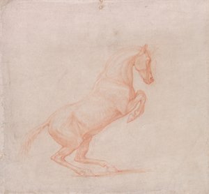 Ein tänzelndes Pferd, nach rechts gewandt