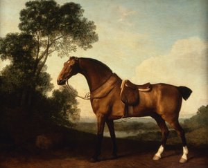 Ein gesattelter brauner Jäger von George Stubbs