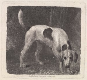 Hund (Ein Fuchshund auf der Fährte) graviert vom Künstler, veröffentlicht 1788
