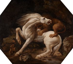 Pferd von einem Löwen angegriffen Episode C