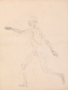 Menschliche Figur, Seitenansicht (für die Schlüsselfigur zu Tabelle XIII)