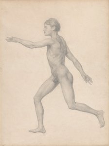 Menschliche Figur, Seitenansicht, unseziert (Fertige Studie für Tabelle VIII)
