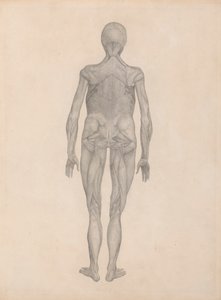 Menschliche Figur, hintere Ansicht (fertige Studie für eine unveröffentlichte Platte) von George Stubbs