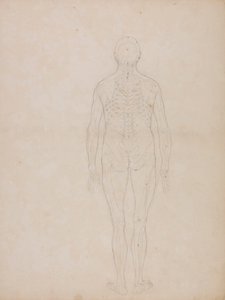Menschliche Figur, Rückansicht von George Stubbs