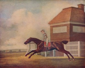 Mr. Ogilvys Bay Rennpferd Trentham in Newmarket mit Jockey, 1771