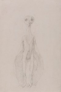 Eule stehend, Vorderansicht