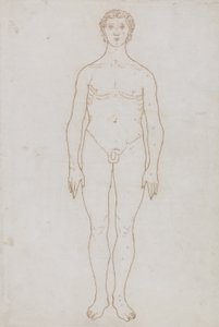 Studie der menschlichen Figur, Vorderansicht, aus 