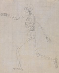 Studie der menschlichen Figur, Seitenansicht, fertige Studie für Tabelle III, aus Einem Vergleichenden Anatomischen Exposé der Struktur des menschlichen Körpers mit dem eines Tigers und eines gewöhnlichen Huhns, 1795-1806