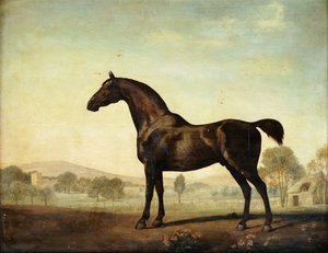 Sweetwilliam, ein braunes Rennpferd, auf einer Koppel, 1779 von George Stubbs