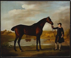 Der Herzog von Marlborough von George Stubbs