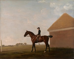 Turf, mit Jockey in Newmarket