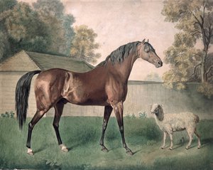 Dungannon von George Townley Stubbs