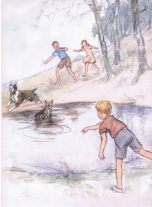 Im Teich, aus Pets Limited veröffentlicht von Collins