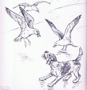 Rosie vertreibt die Möwen, aus Mudlarks, veröffentlicht von Collins von George Vernon Stokes