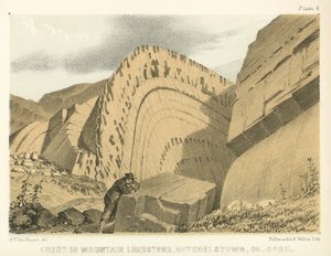 Chert im Bergkalk, Mitchelstown, Co Cork von George Victor Du Noyer