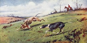 Hetzjagd